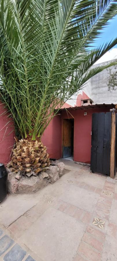 Punto Salta
