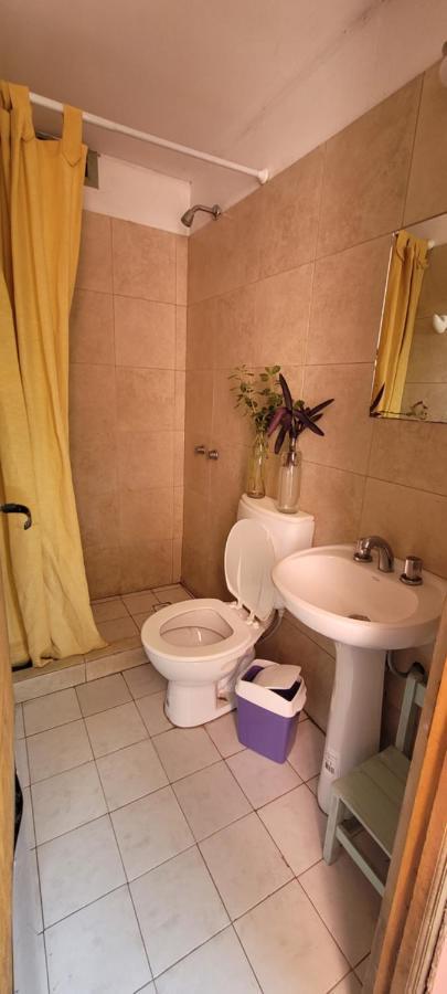 Hostel Punto